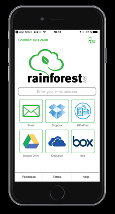 rainforest365