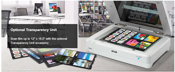 Epson Expression 13000XL Transparency Unit 