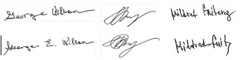 voter signature verification