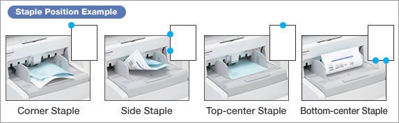 staple detection 